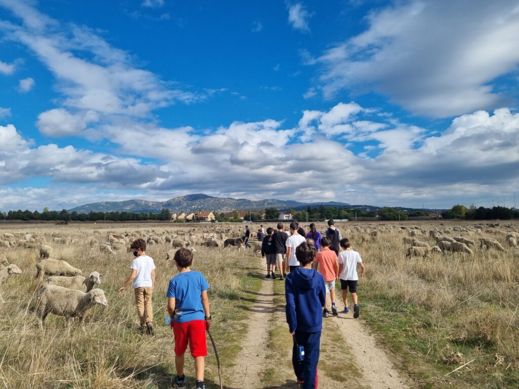Paseo didáctico «Pastores trashumantes por un día»