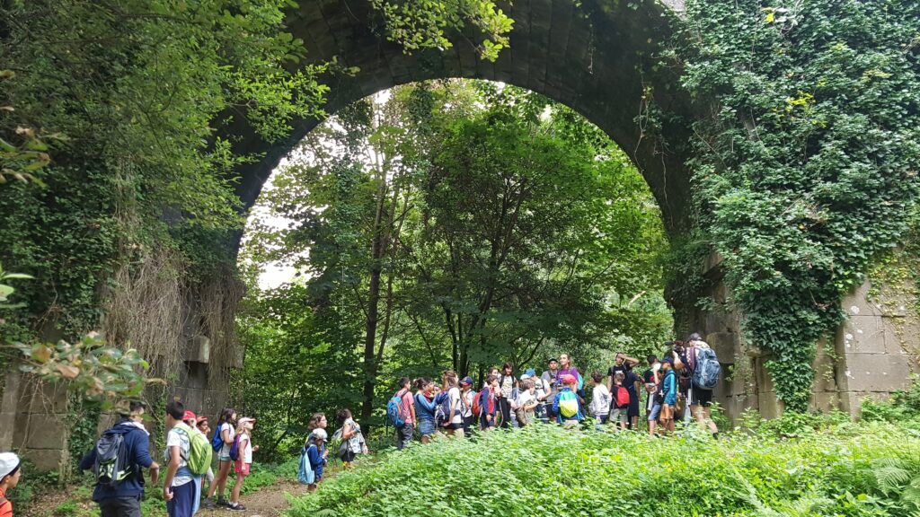 Curso de Monitor de Tiempo Libre