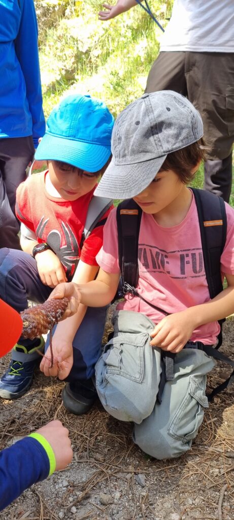 Aprender ciencia / Hacer ciencia