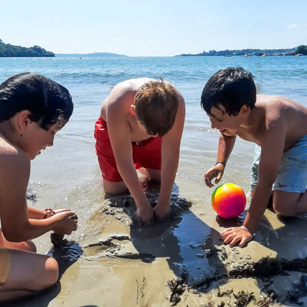 Colonias de vacaciones