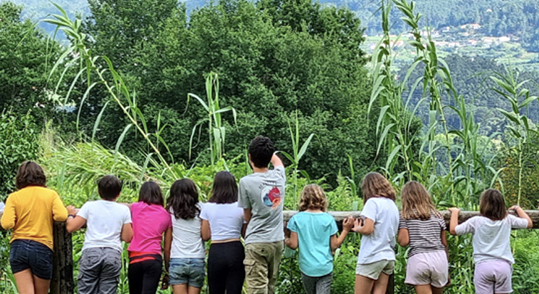 Colonias de vacaciones