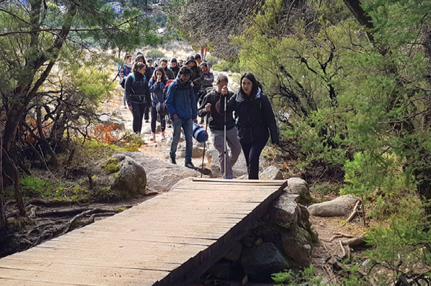 Curso de Monitor de Tiempo Libre