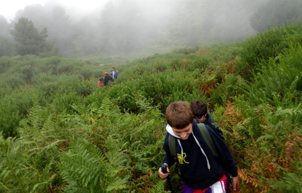 Aprender ciencia / Hacer ciencia (en torno a la simbiosis)