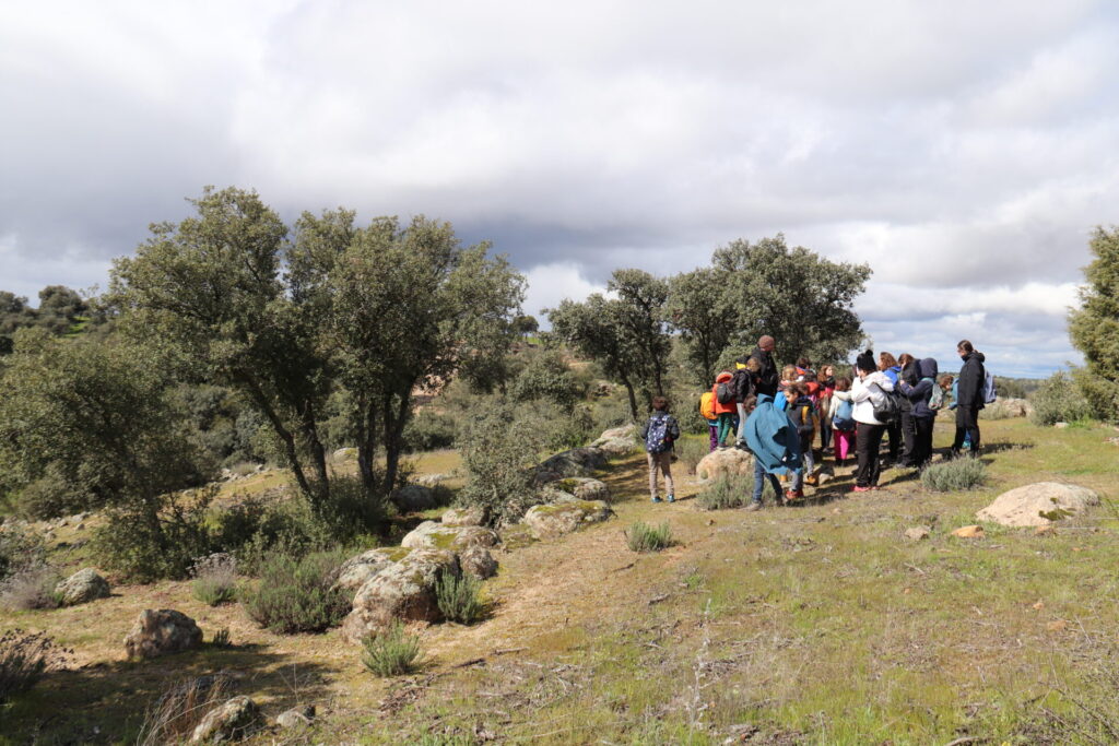 Colonias urbanas científicas