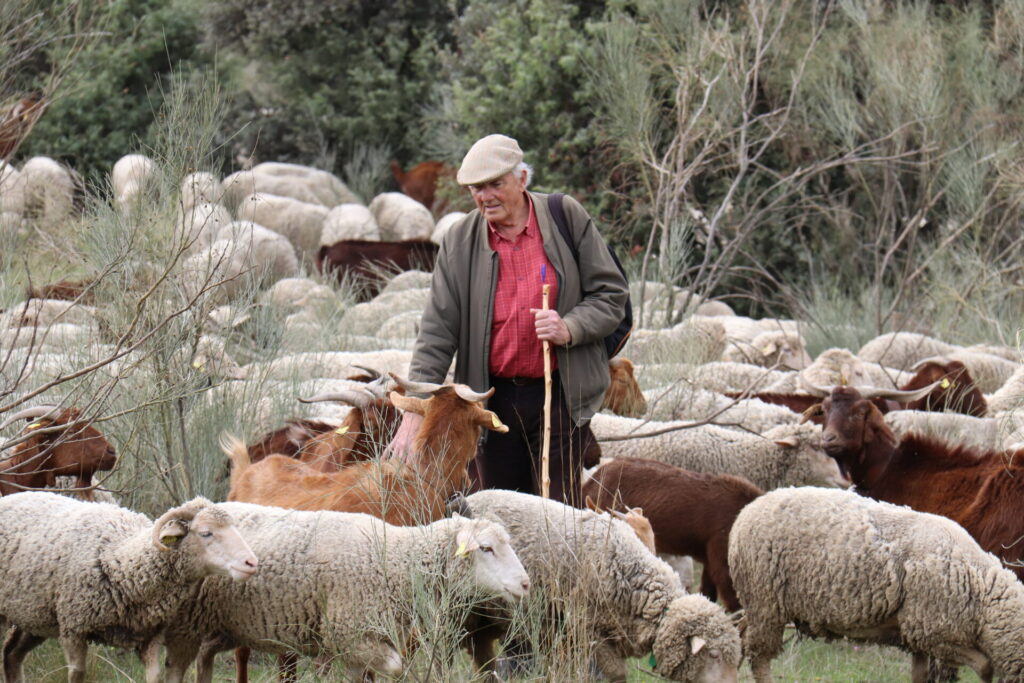 En recuerdo de Jesús Garzón Heydt