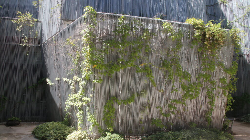 Aprender ciencia / Hacer ciencia (Enraizando)