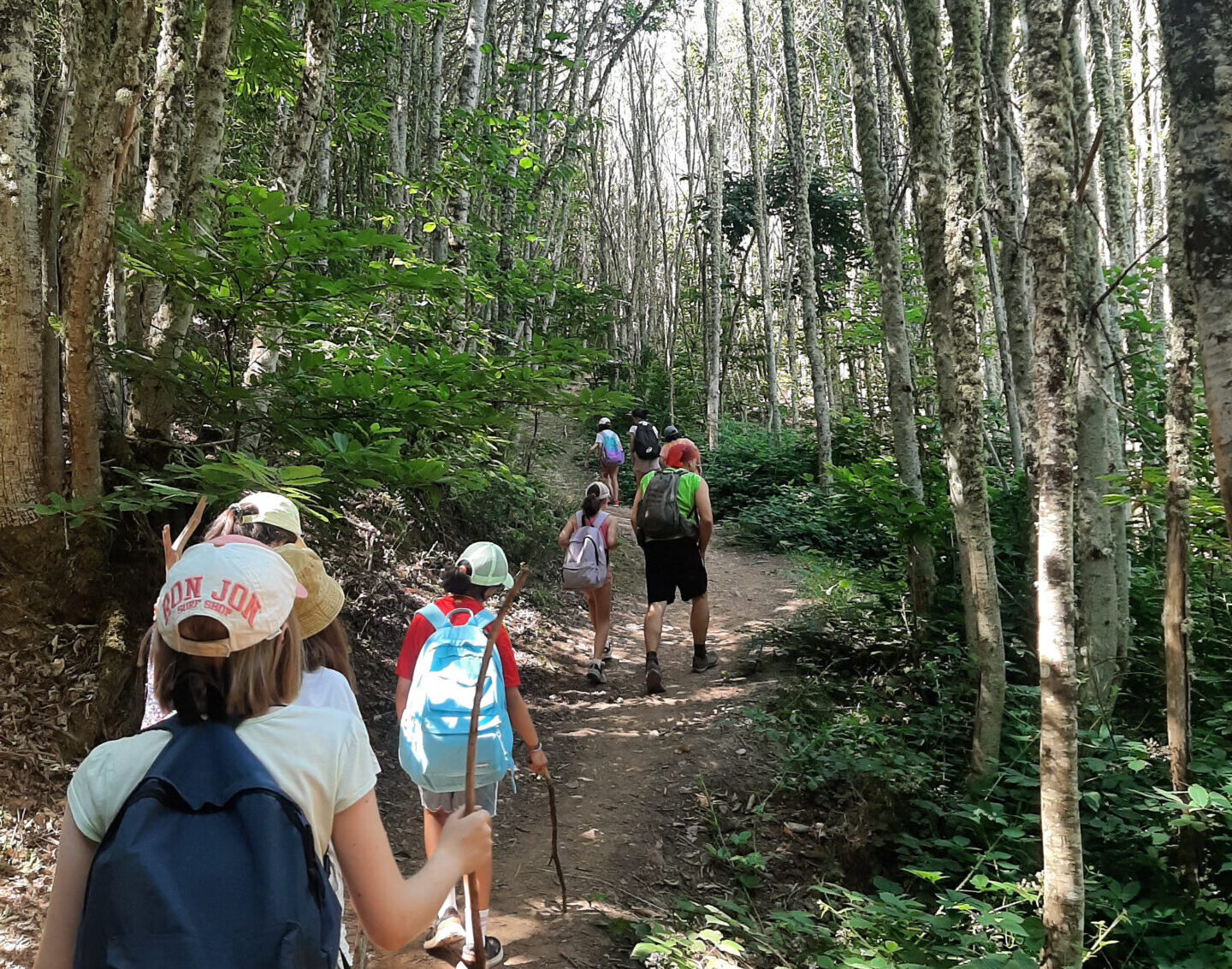 20250627_123103_resultado