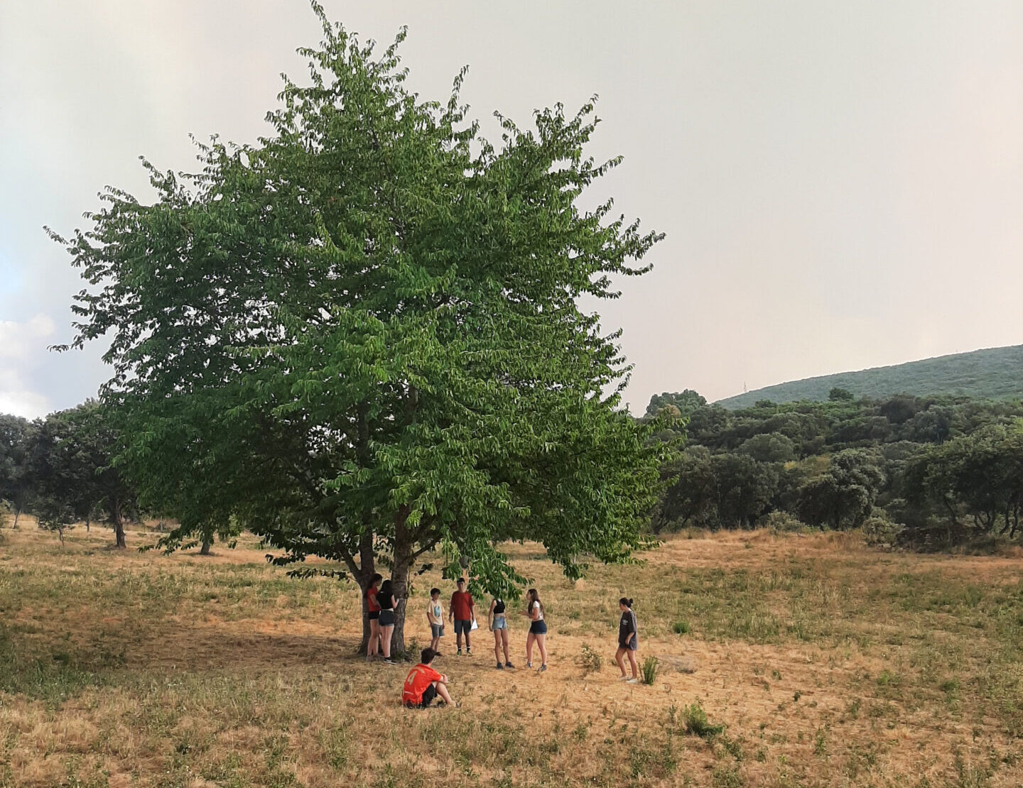 20250810_173050_resultado