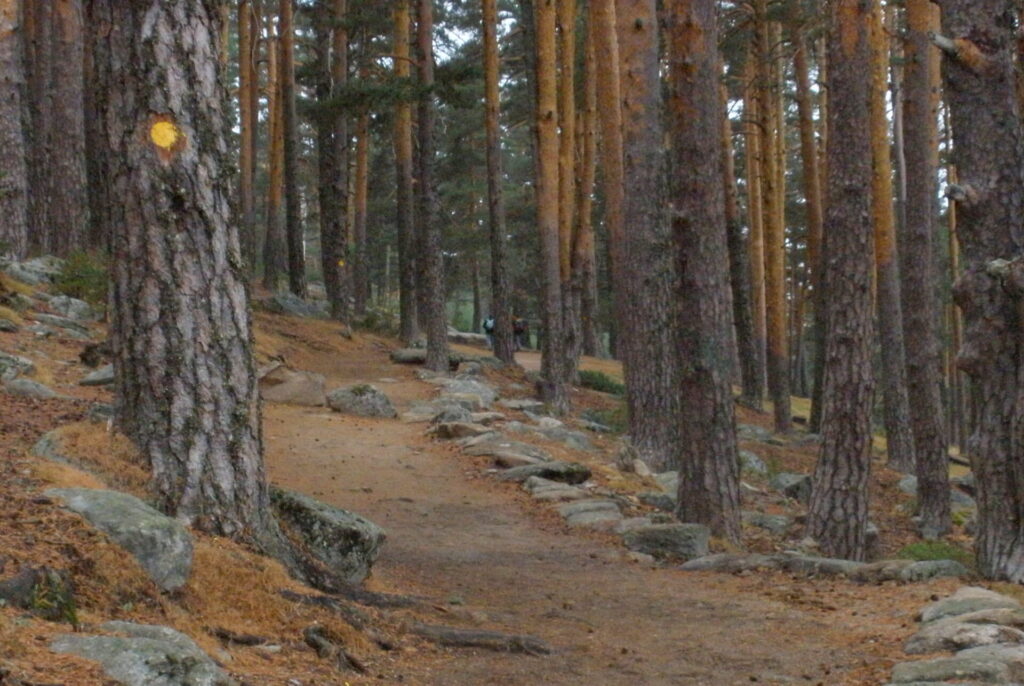 XXI Ciclo «Bernaldo de Quirós»